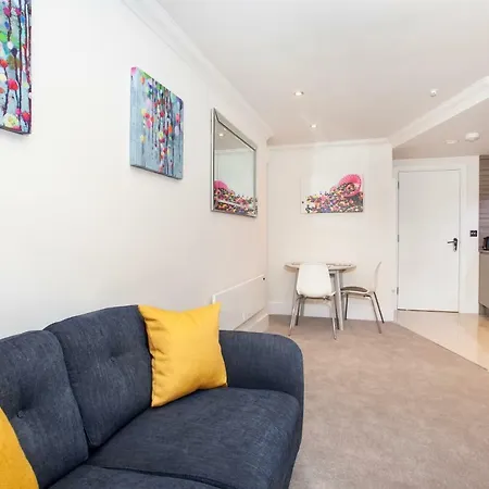 Cocoa Luxury * 约克